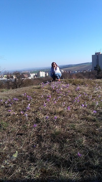 Photos of Masaryk grove
