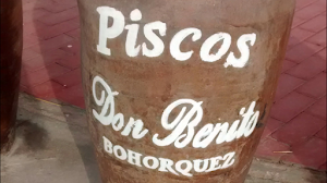 Piscos Don Benito 2