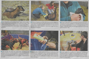 Photo n°8 de Les Pâturettes de Bodavel à Landévant (Magasin de produits de la ferme)