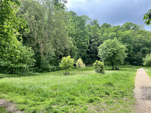 Yzeron Natural Park - Thumbnail