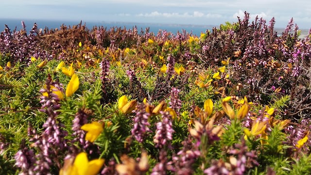 Cap de la Chèvre