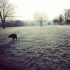 Mersey Park liverpool