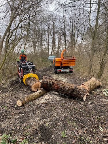 treegeneration Baumpflege photo