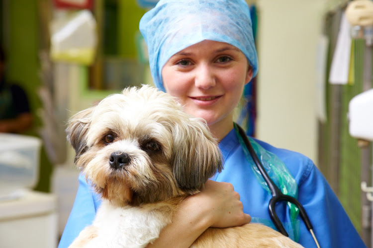 Abbey House Vets in Morley