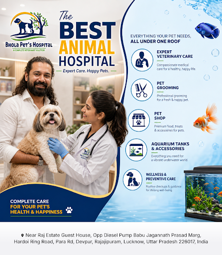 Bhola Pet's Hospital is your trusted animal hospital specializing in comprehensive pet care, groo… post image