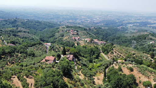 Visit Lamporecchio - Ufficio informazioni turistiche