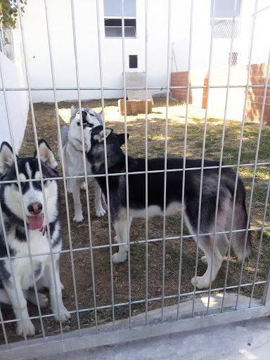Hotel Rural Canino La Cadiera - Thumbnail