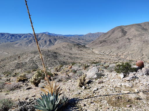 Bill Kenyon Overlook trail
