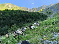 La ferme du grand rif à La Morte