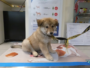 Photo n°7 de Vétérinaires du Château à Saint-Priest (Vétérinaire)