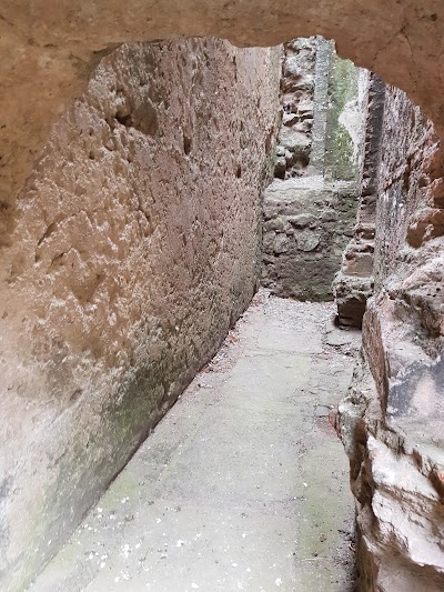 Photos of Santo Hermano Pedro Garden