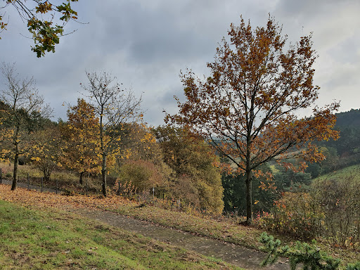 Friedhof Esthal - Thumbnail