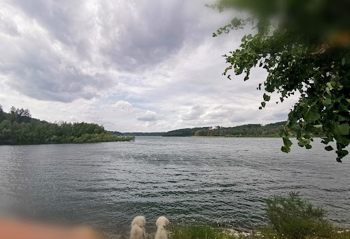Große Dhünntalsperre Staumauer - Thumbnail