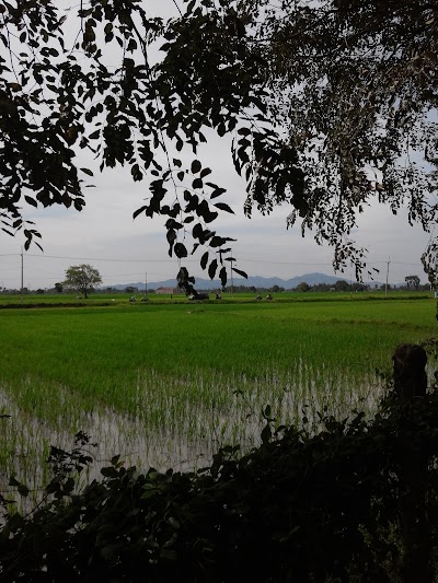 Photos of SITUS TASIKARDI