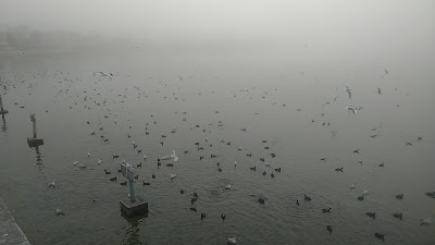 Photos of May 19 Youth Park