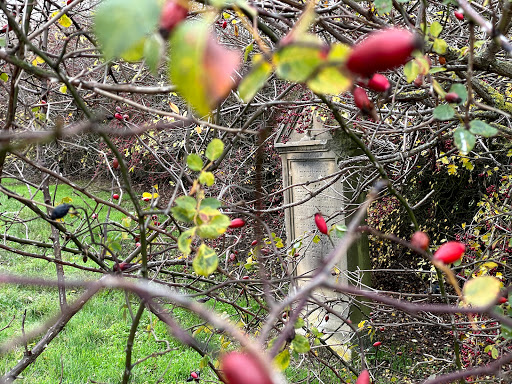 Jüdischer Friedhof Bretzenheim - Thumbnail