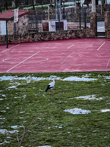 CEIP Enrique de Mesa - Thumbnail