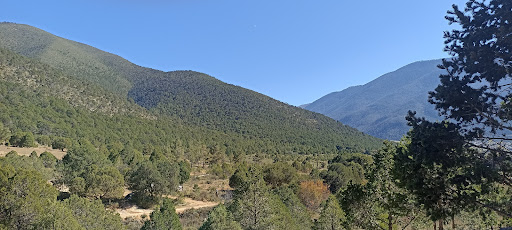 El Costillín - Thumbnail