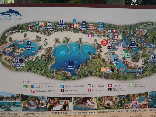 Discovery Cove - Thumbnail
