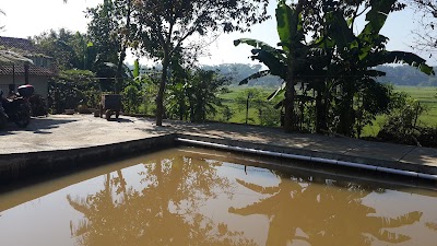 Photos of Villa Dea
