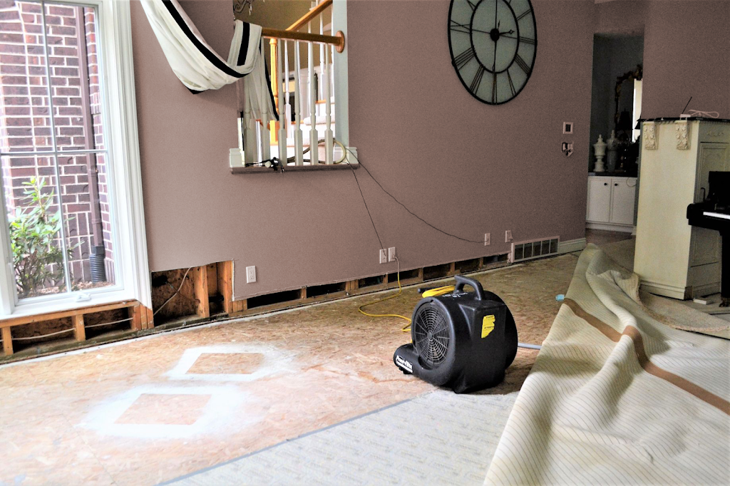 EcoDry Water Damage Restoration Houston photo
