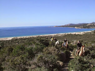 Photo n°12 de Centre Equestre Equiloisirs-FAE à Corte (Agence de voyages)