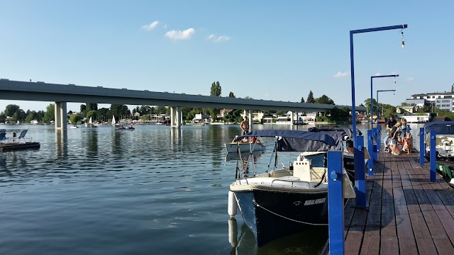 Marina Hofbauer - Hofbauer Holding Ges.m.b.H.