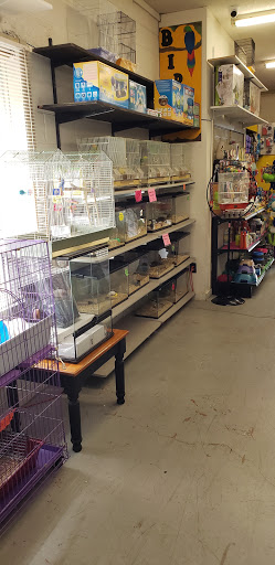 Ruff's Pet Shop - Thumbnail