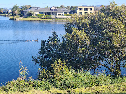 Senic Park - Visual