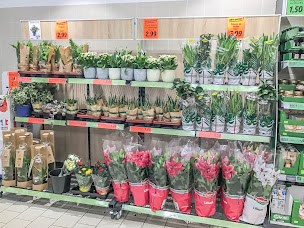 Photo n°5 de Lidl à Velaines (Supermarché)