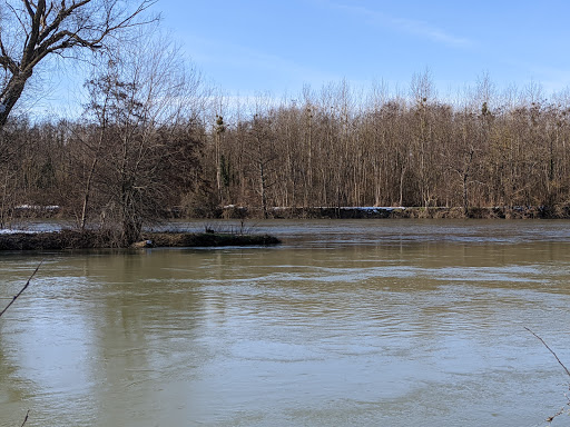 Confluence de l'Yonne et de l'Armancon - Thumbnail