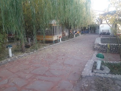 Photos of باغ رستوران شبهای گلدشت