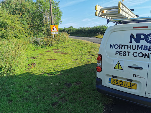 Northumberland Pest Control - Thumbnail