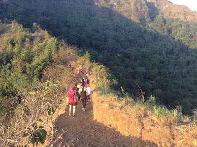 Photos of El Aguamaco Park