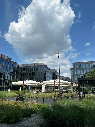 AsstrA-Polska Sp. z o. o., firma transportowo-logistyczna