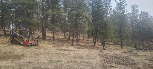 Forestry Fuels and Fire LLC