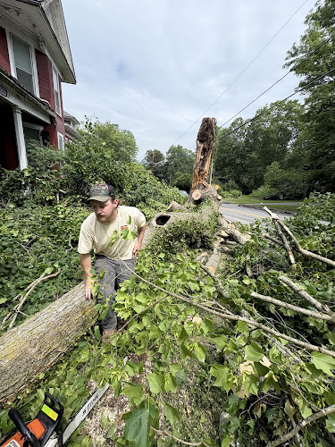 Roots and Boots Tree Care LLC