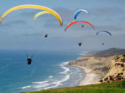 Del Mar Coastal Properties - Thumbnail