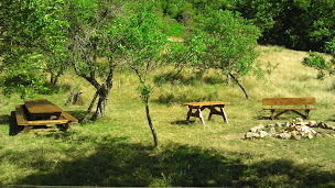 Photo n°22 de Viala Bois à Nant (Exploitation forestière)