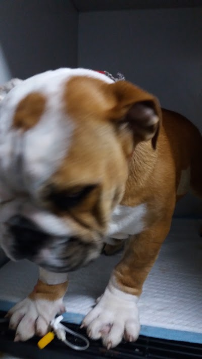 Photos of Neptune Veterinary Clinic