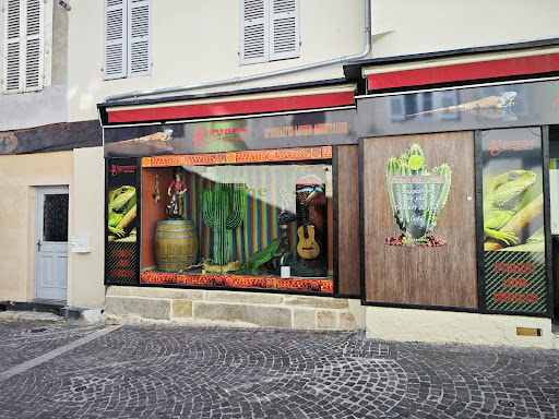 Iguane Tex Mex