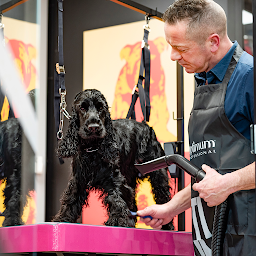 Photo n°26 de Tom&Co Calais-Coquelles à Coquelles (Toiletteur)