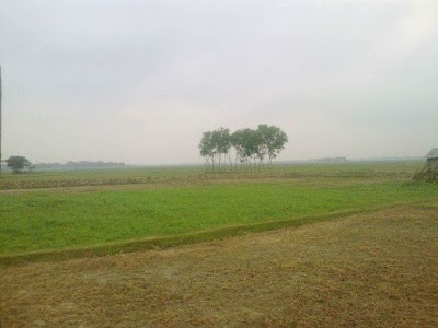Photos of Kacharighat Bazar