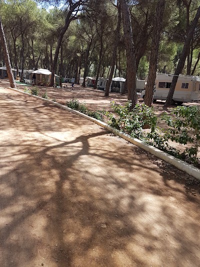 Photos of Camping Dehesa Nueva
