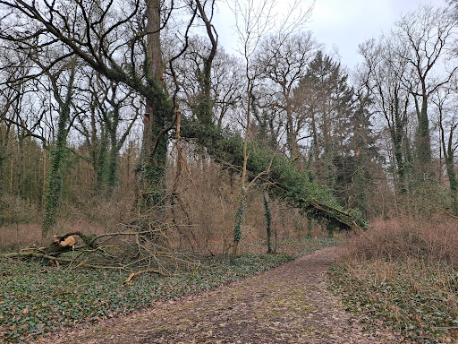 Vogelbeobachtungsstelle - Thumbnail