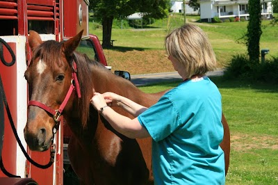 Photos of Animal Medical Services