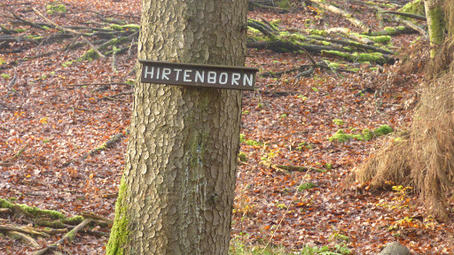 Hirtenborn - Visual