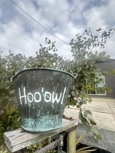 Hoo'owl -ﾎｰｱｳﾙ-