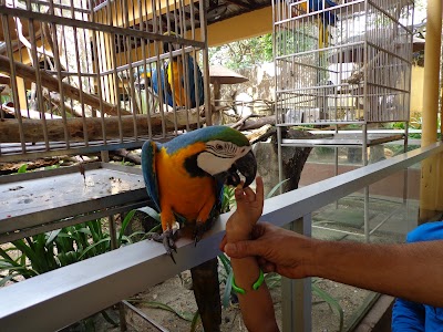 Mini Zoo Langkawi
