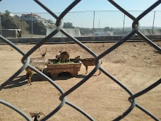 Bahria Town Zoo rawalpindi